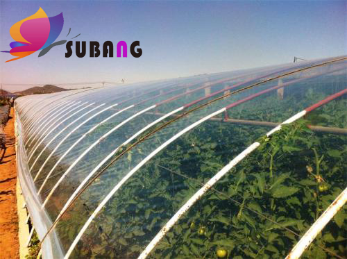 1573625914114223.jpg 大棚膜.jpg